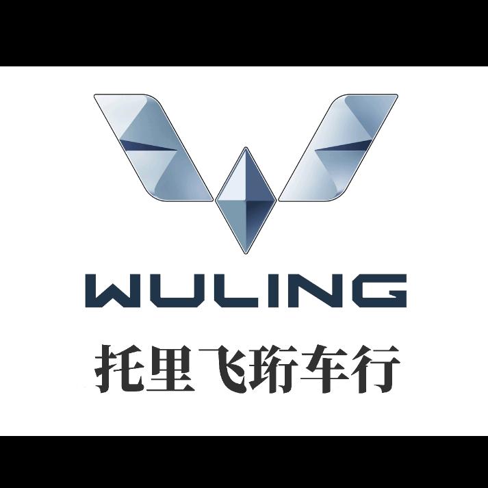 托里飞珩车行