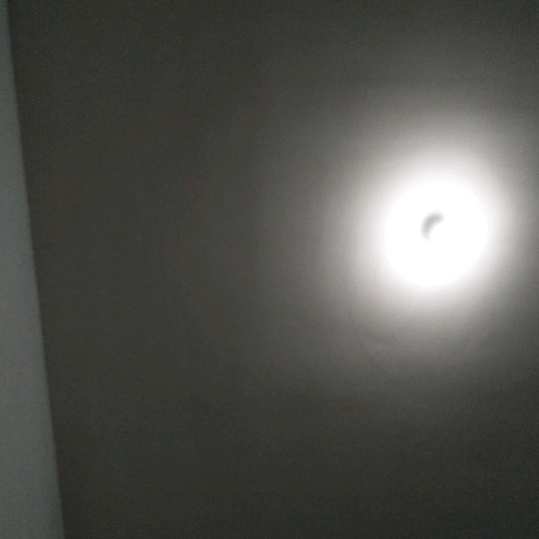 朱小文