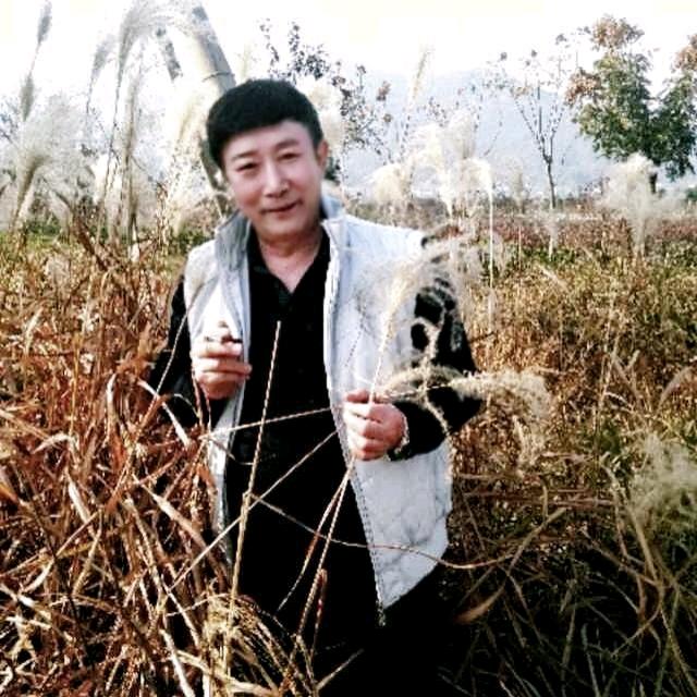 小镰刀