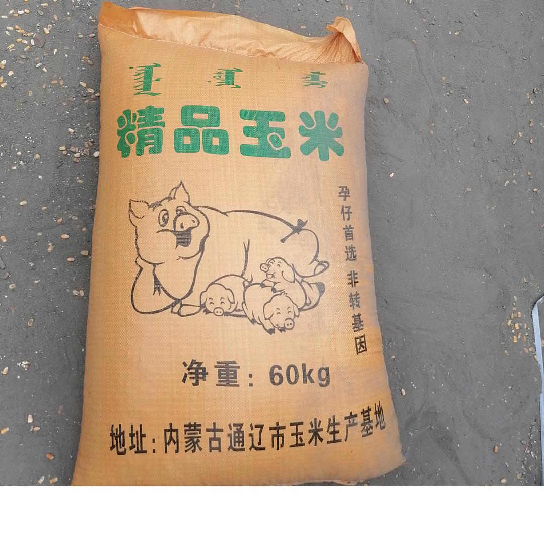 李壮