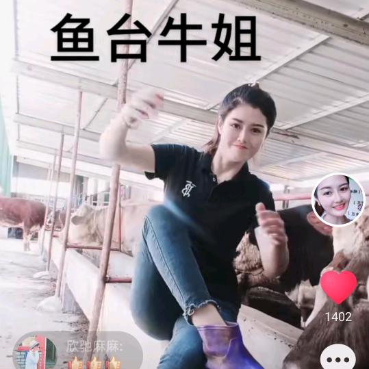 鱼台牛姐牛羊肉