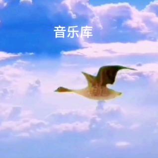 张纪:专业回收含铜料，铜灰，铁，不锈钢
