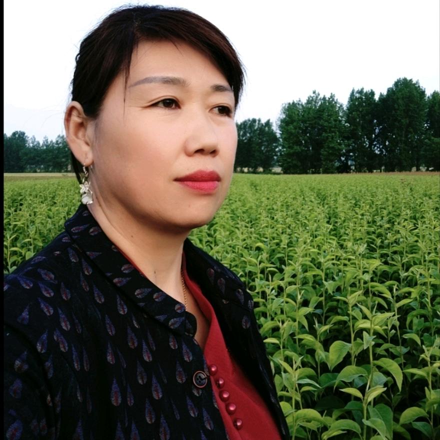 伊琳奇伟奇苗木果树苗木专卖店