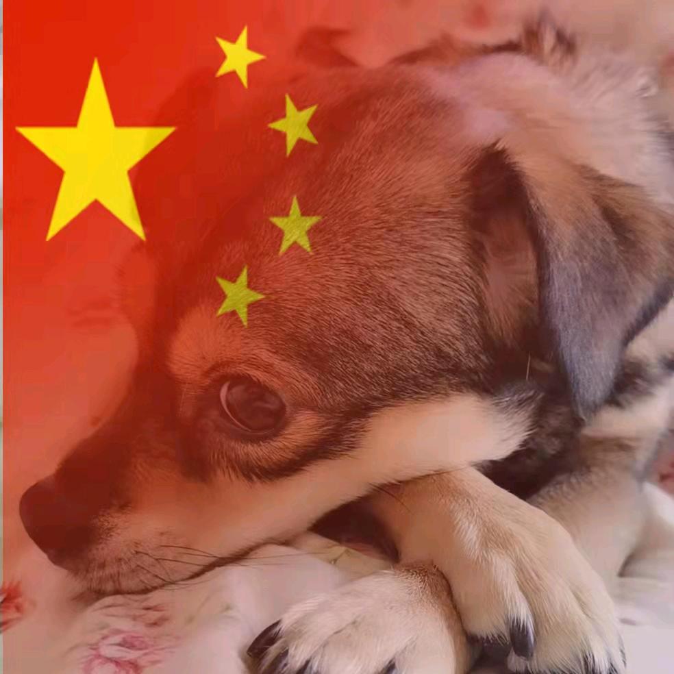 模仿柯南的伪侦探
