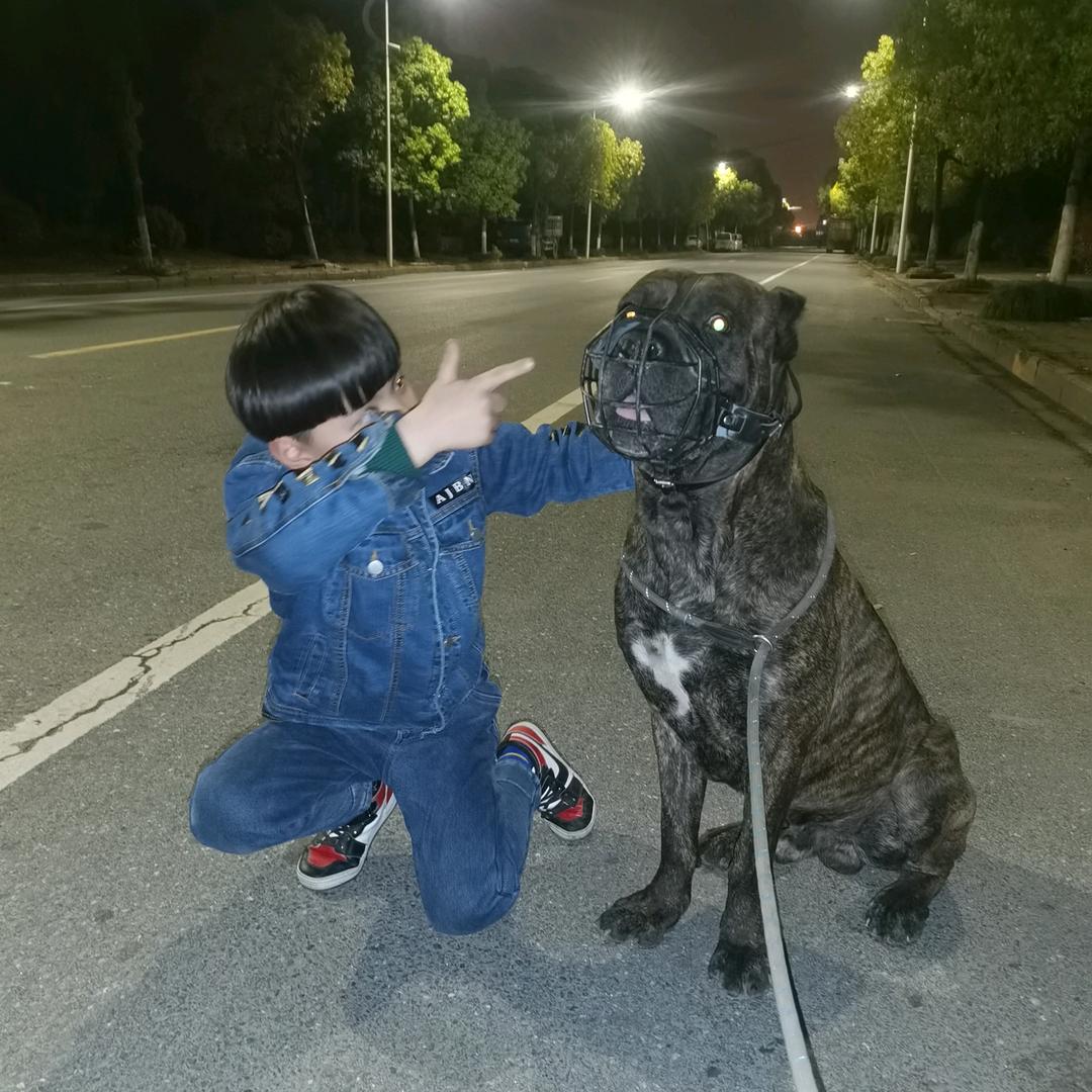 我是曹大大