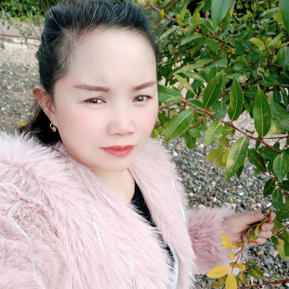 蓝色的梦