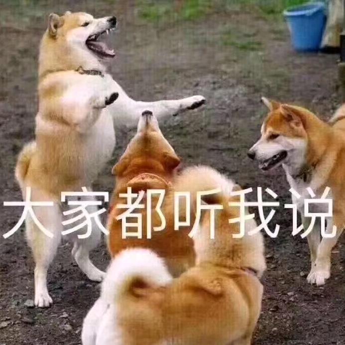专刮木薯