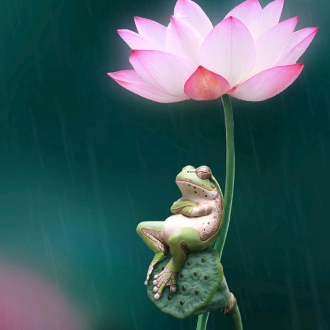 纯属虚构
