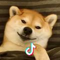 徐徐徐