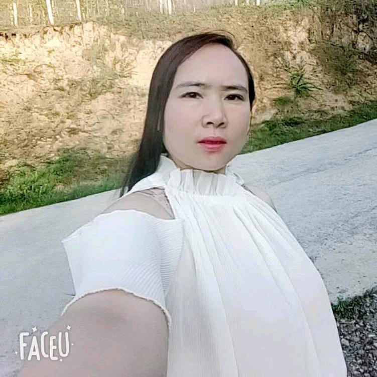 心雨.
