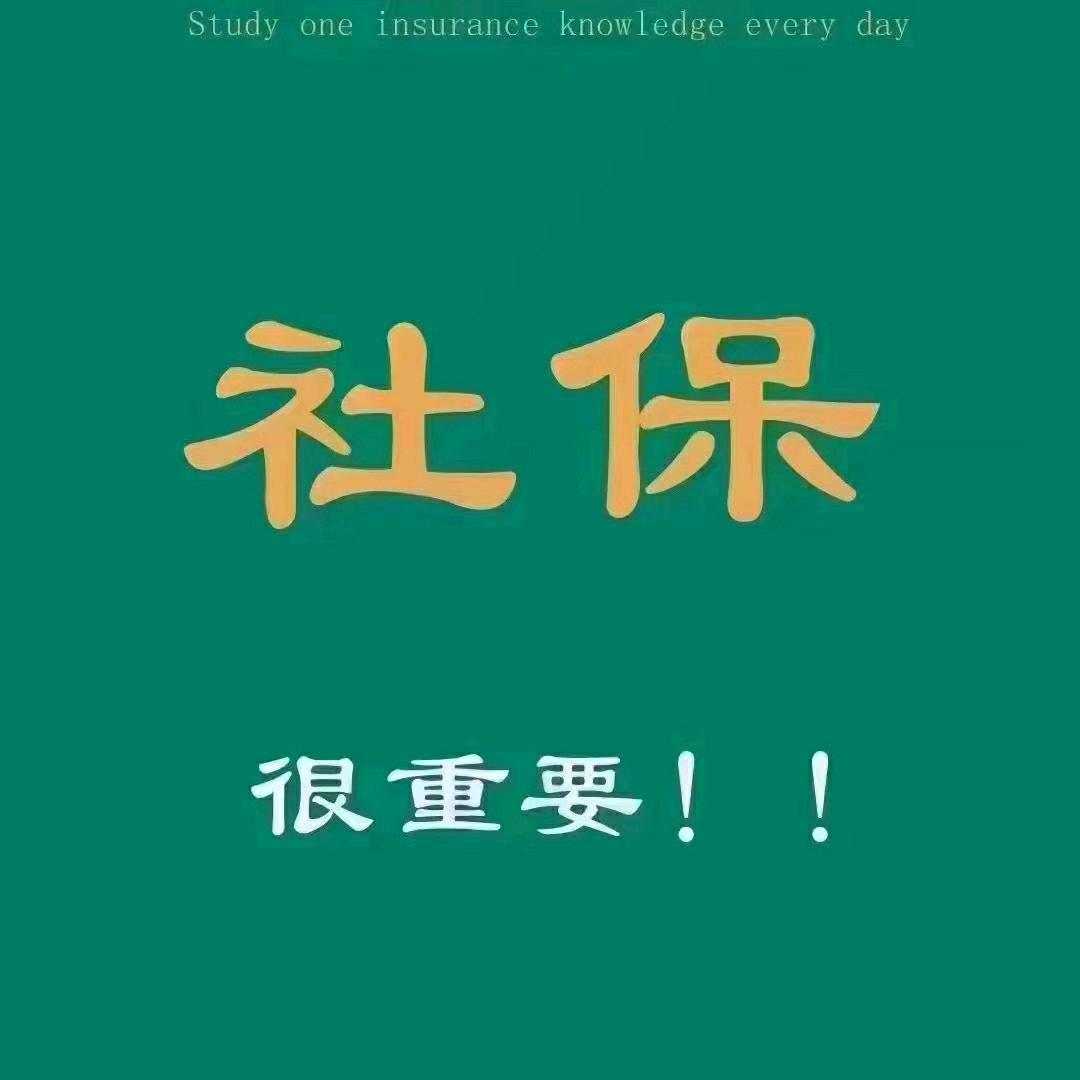 专业社保规划