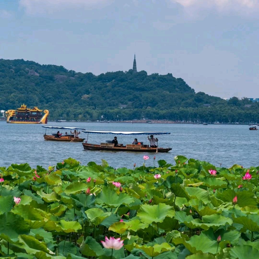 开心快乐🌹