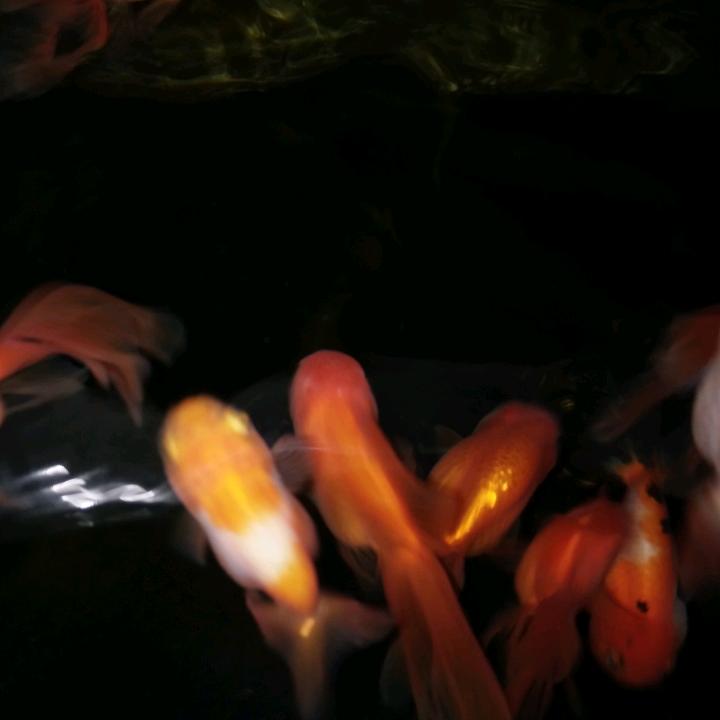 修路工程机械