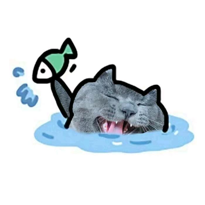 肥猫看世界