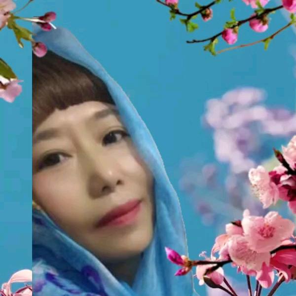 ㊗️㊗️《随心所欲》