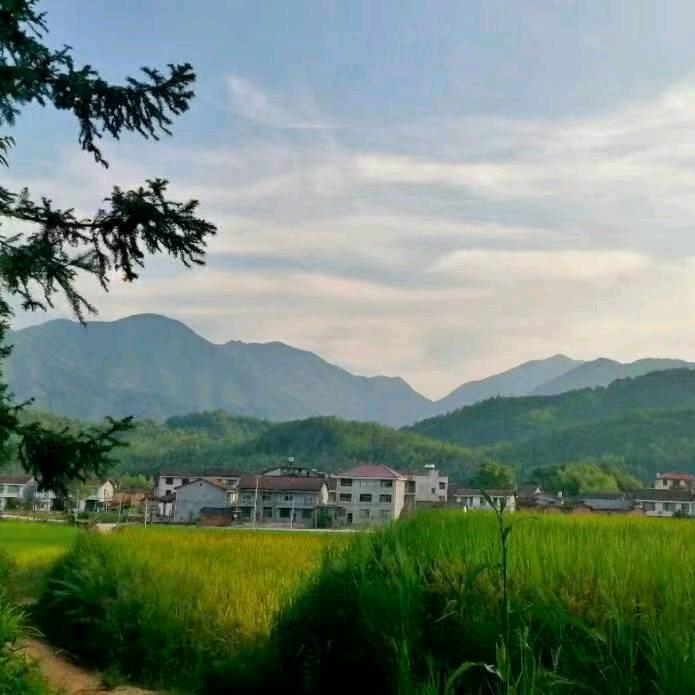 杨洋💪