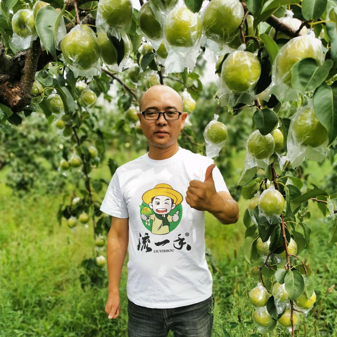 流一手®玉露香梨隰县供应链