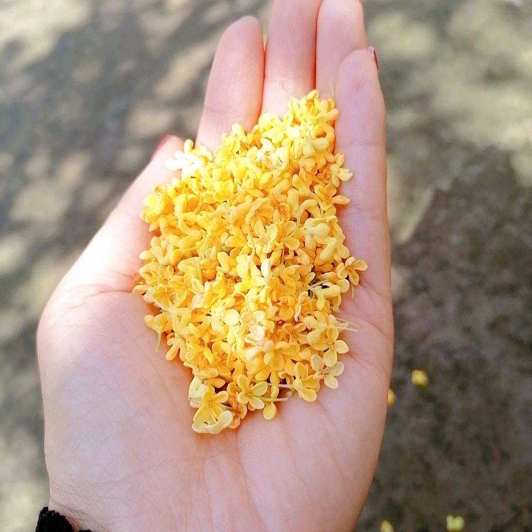 依然