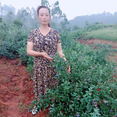 努力才幸福