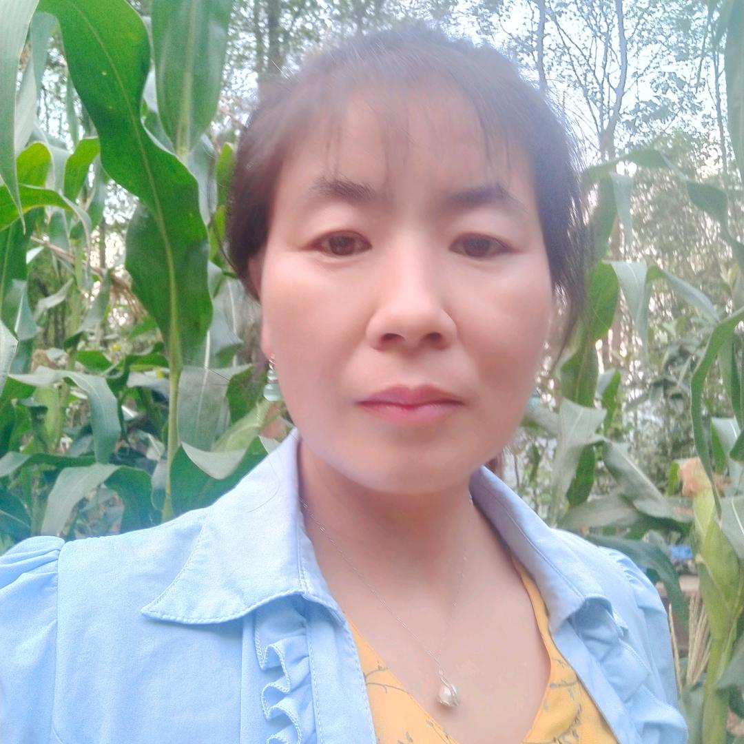 王芹