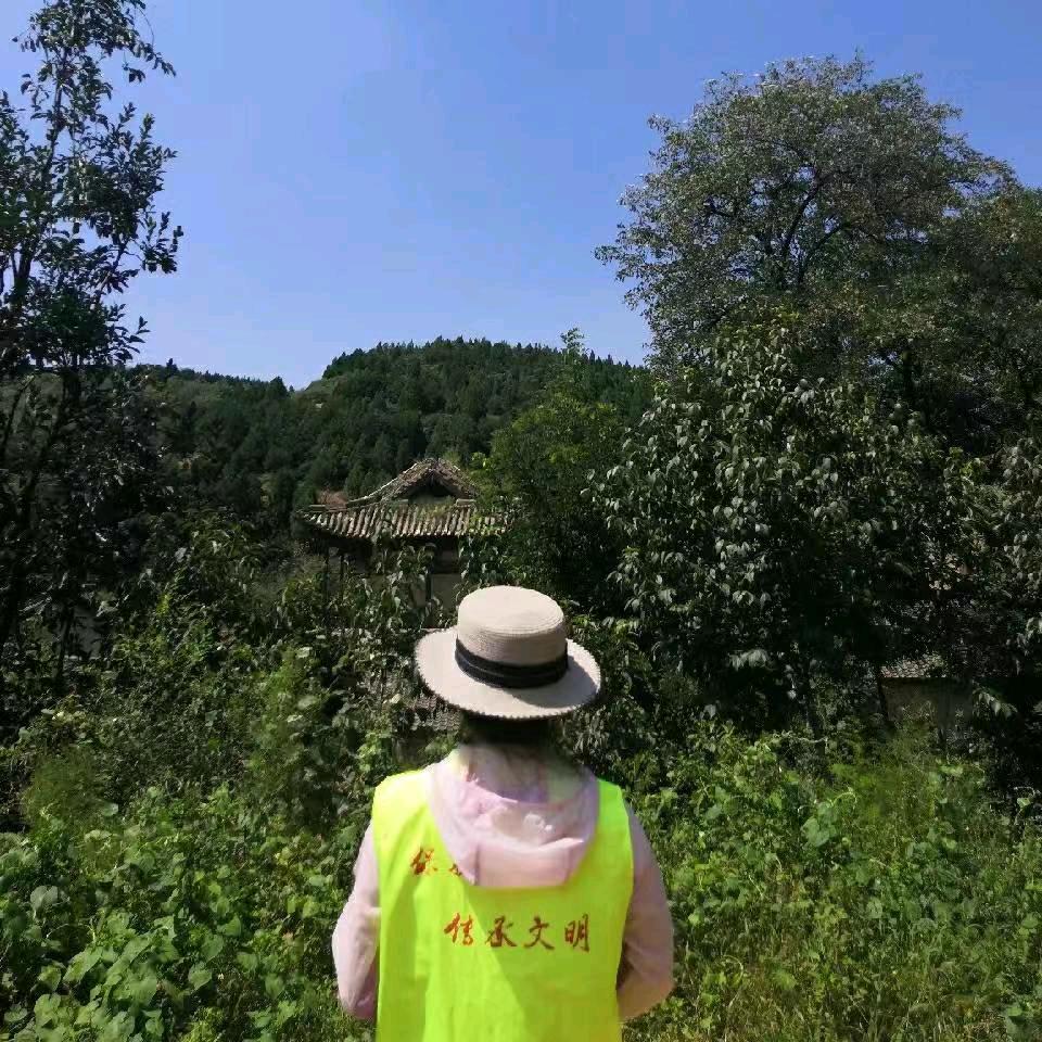 月亮tree