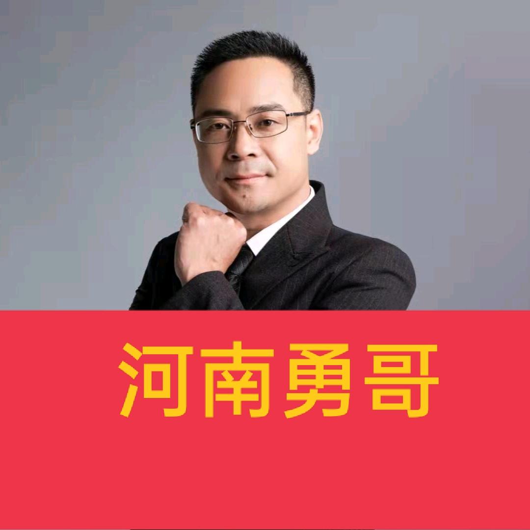 河南勇哥