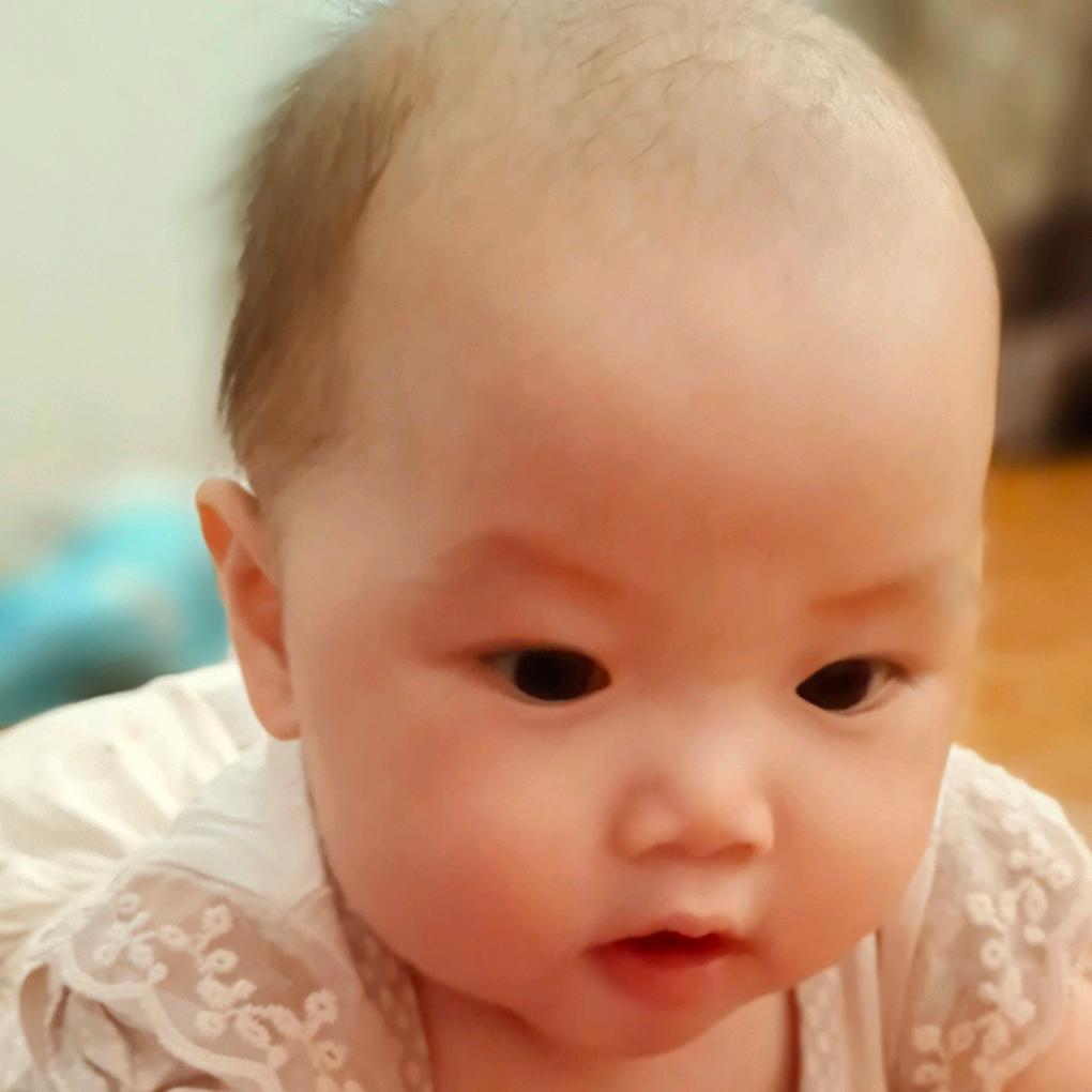 一只大脸猫