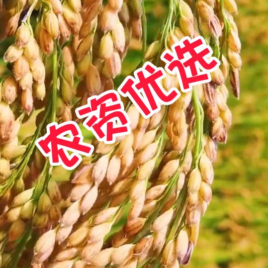 种田大户500亩
