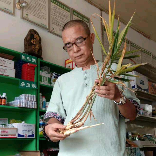 生姜蒋大叔