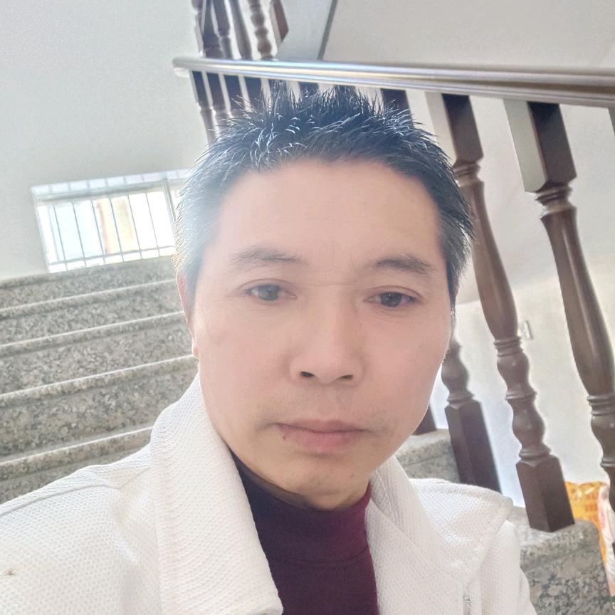 自由飞扬