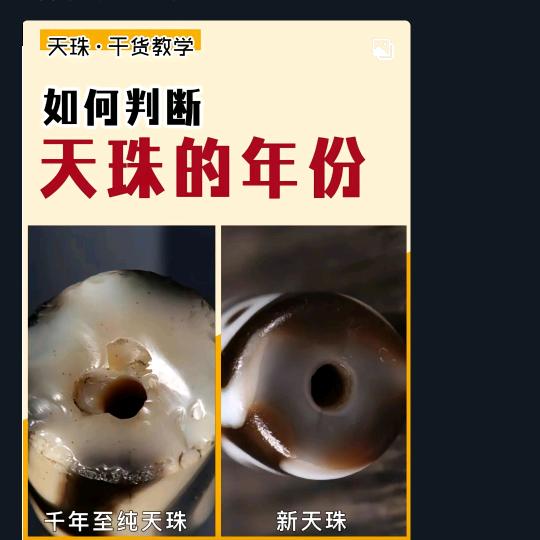 蓝鱼游物