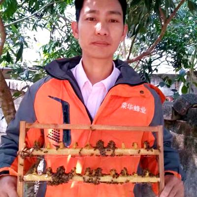 东莞洁新科技