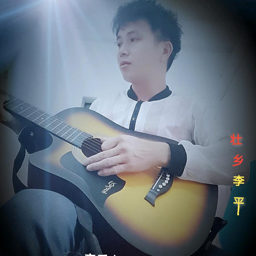 壮乡 李平