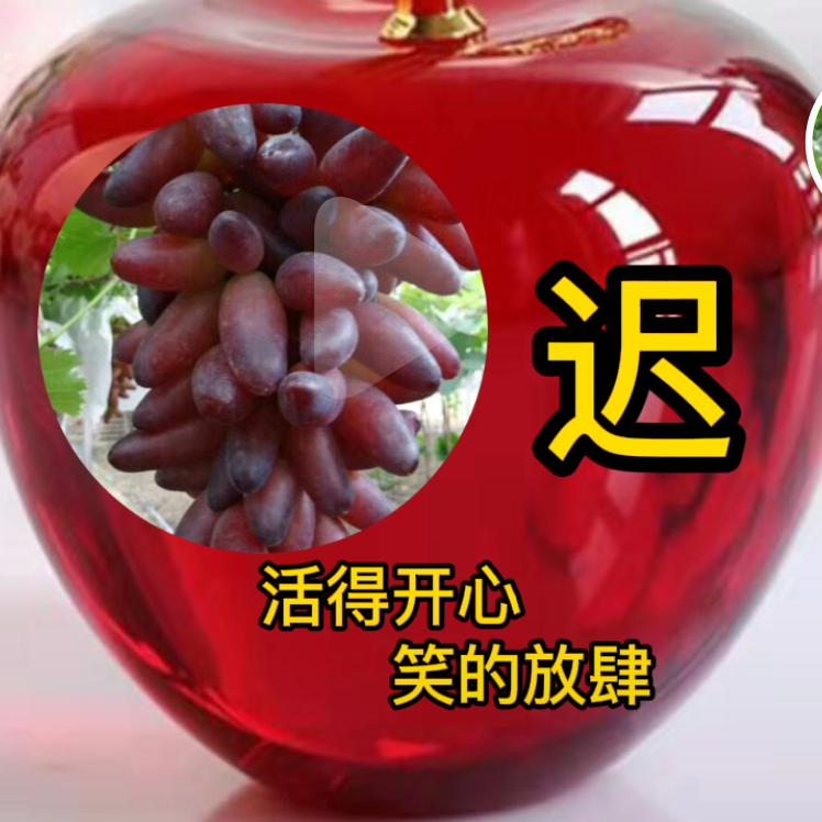 奋斗