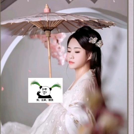 玲珑仙儿