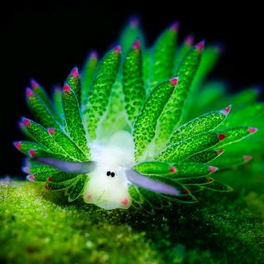 付老师生物