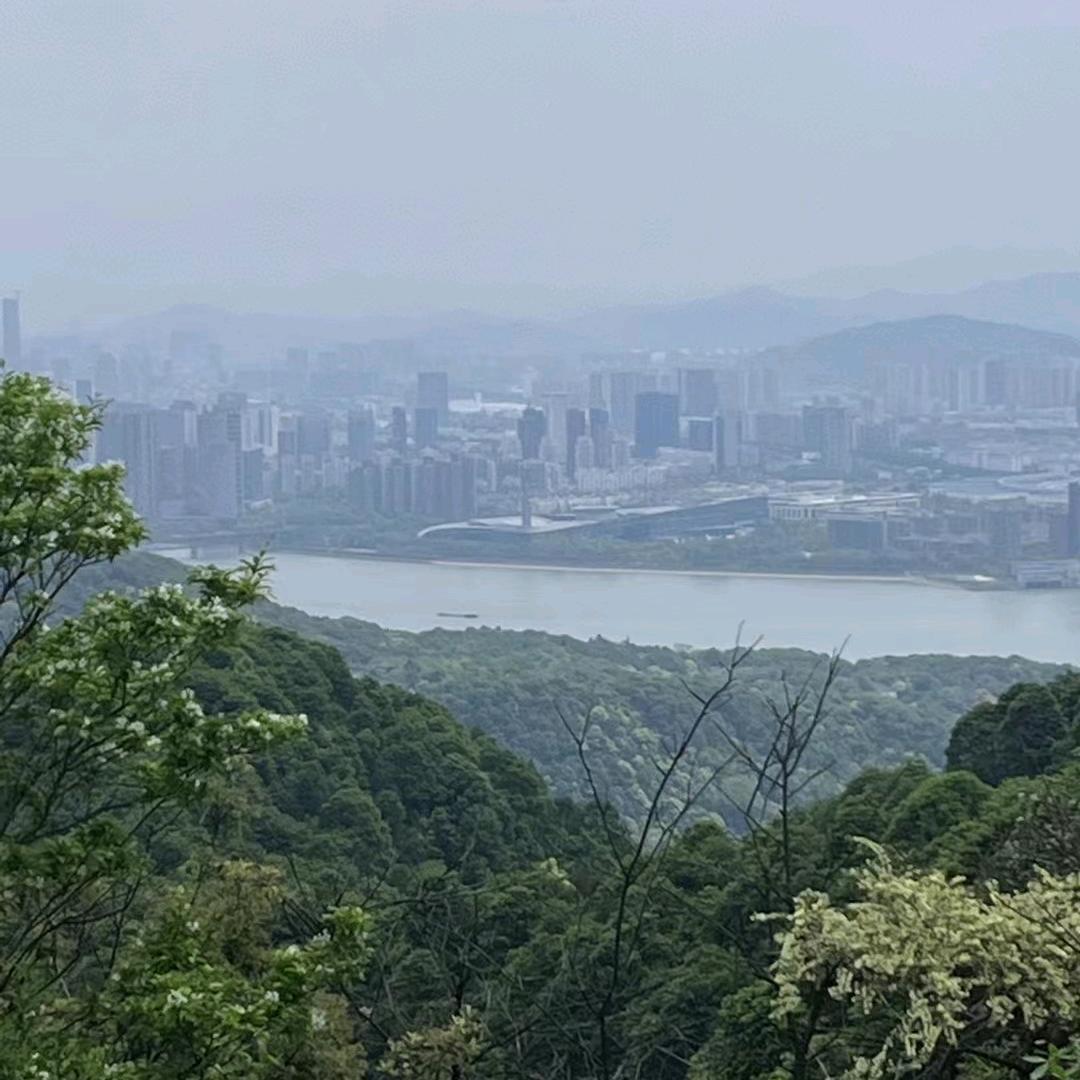 阳光下的淡然এ᭄