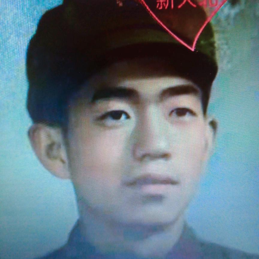 长青树