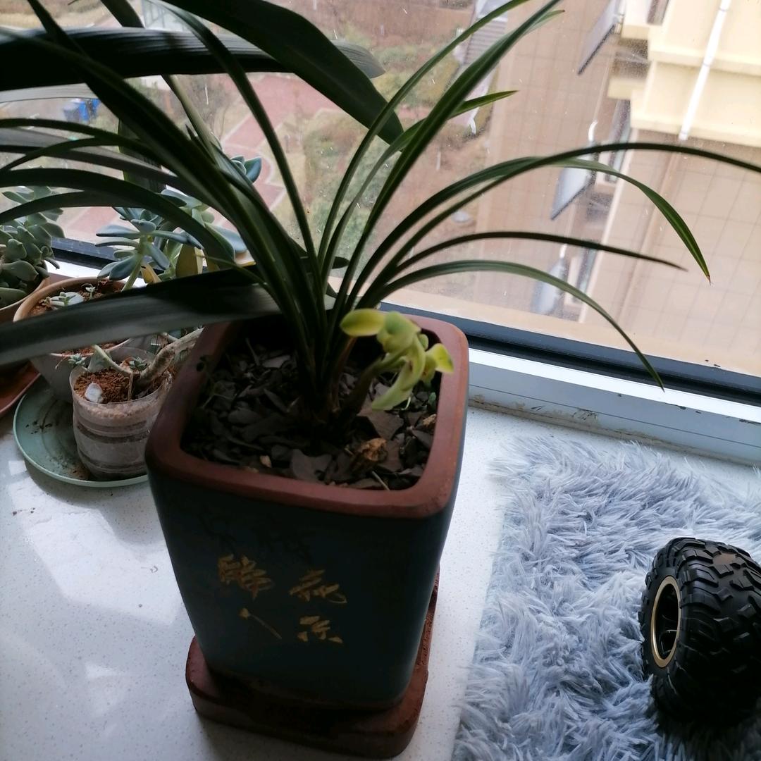 初夏。。。