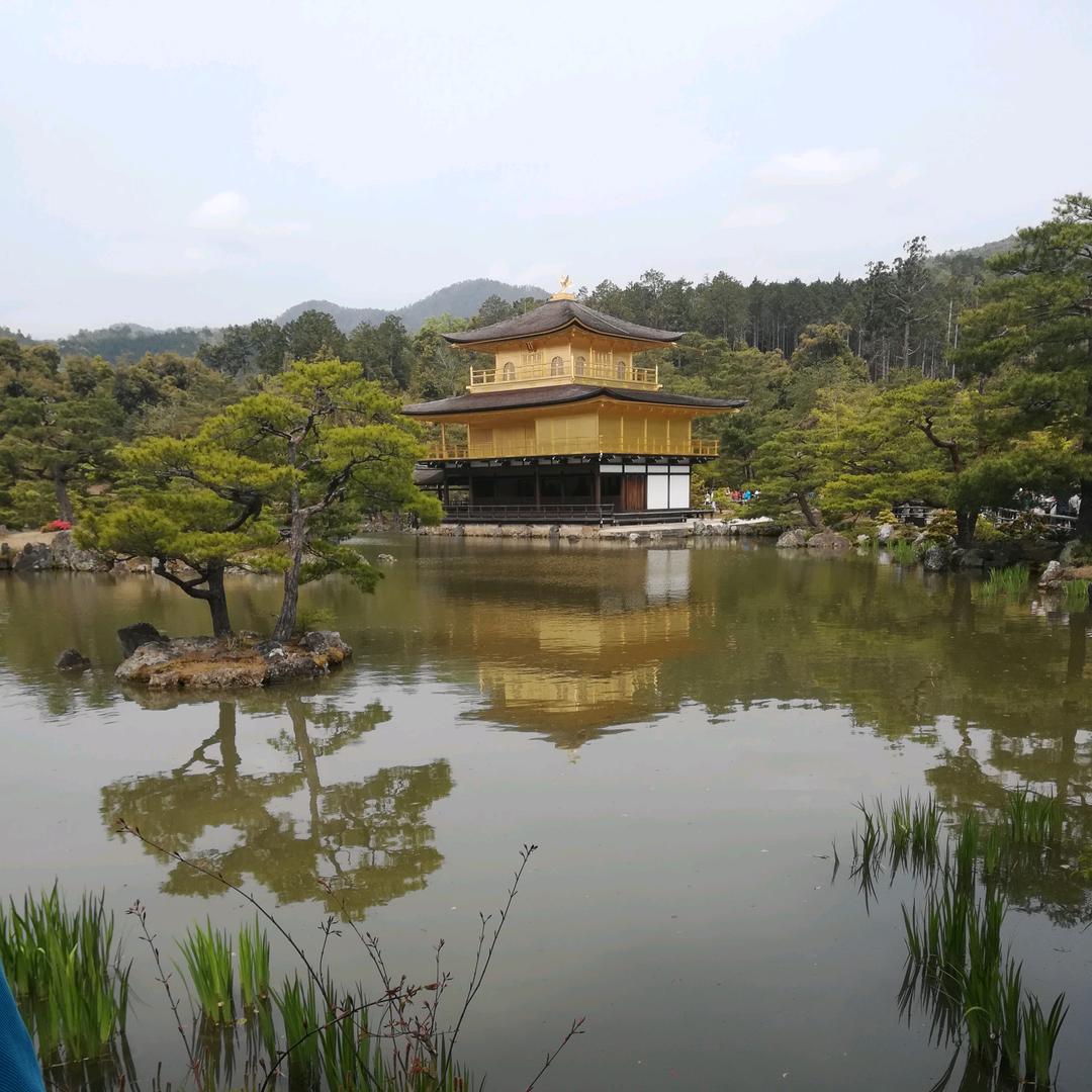 天月