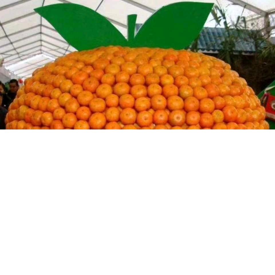 走西北