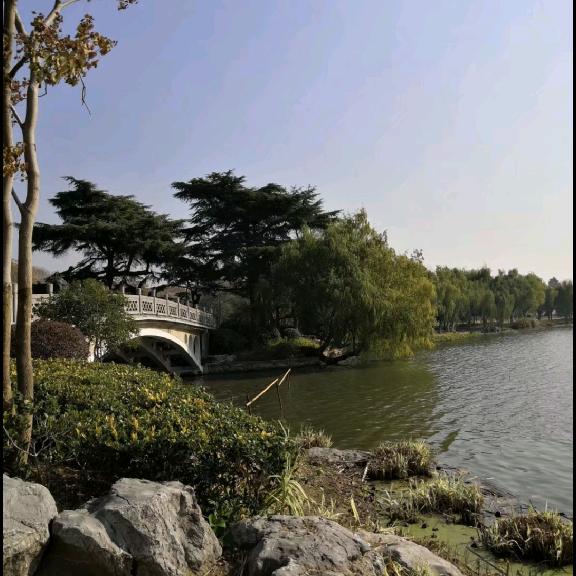 清春如流水