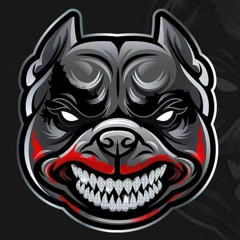 BULLY J 大猛