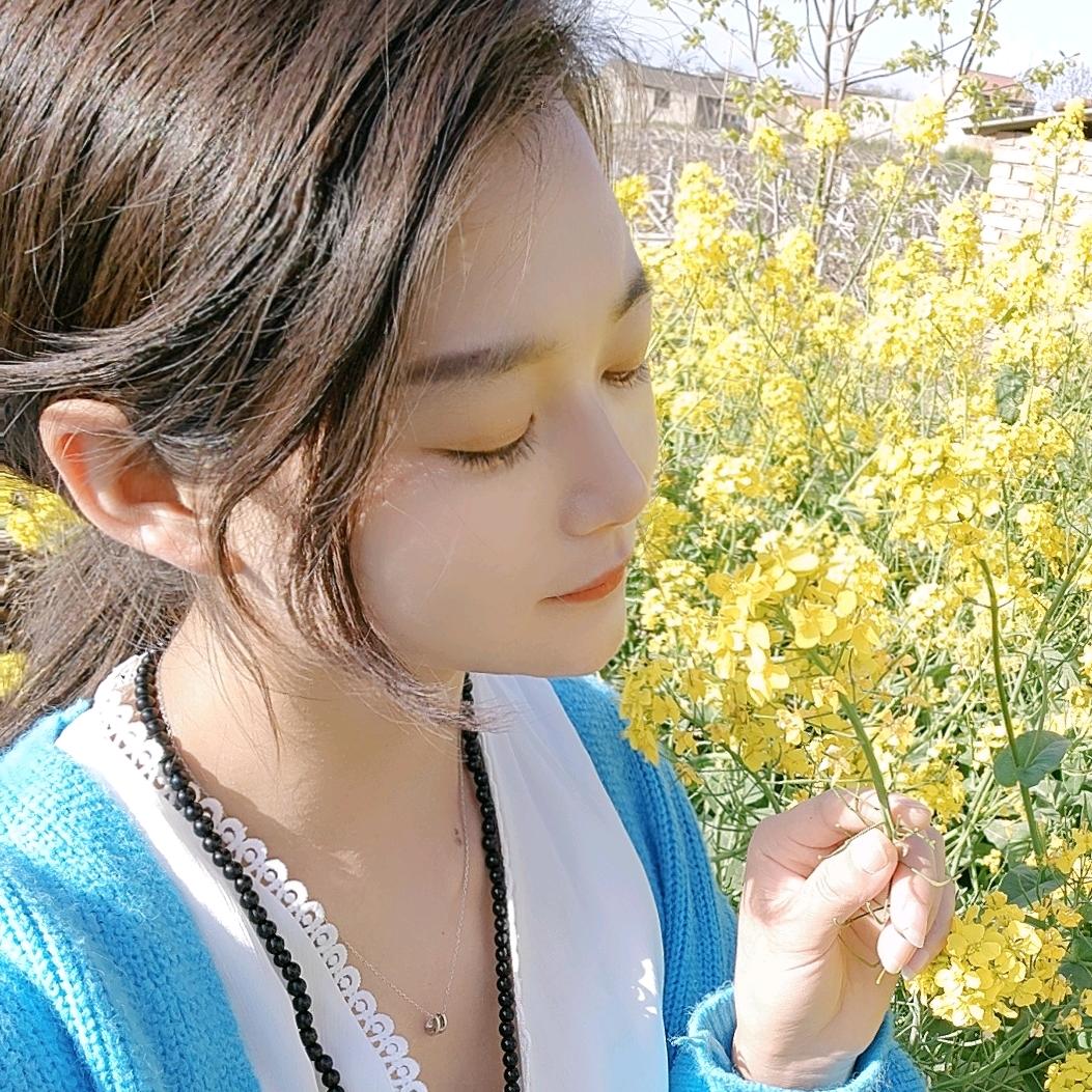 招财小福猫🍀🍀🍀🍀🌻🌻🌻