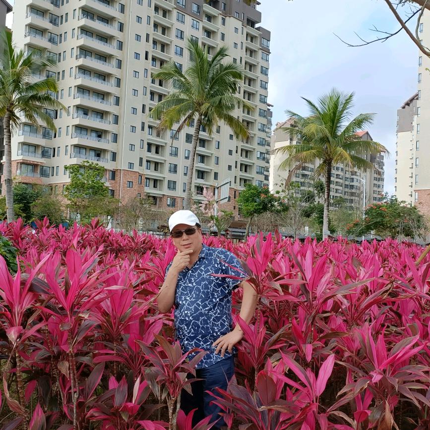 龙的传人