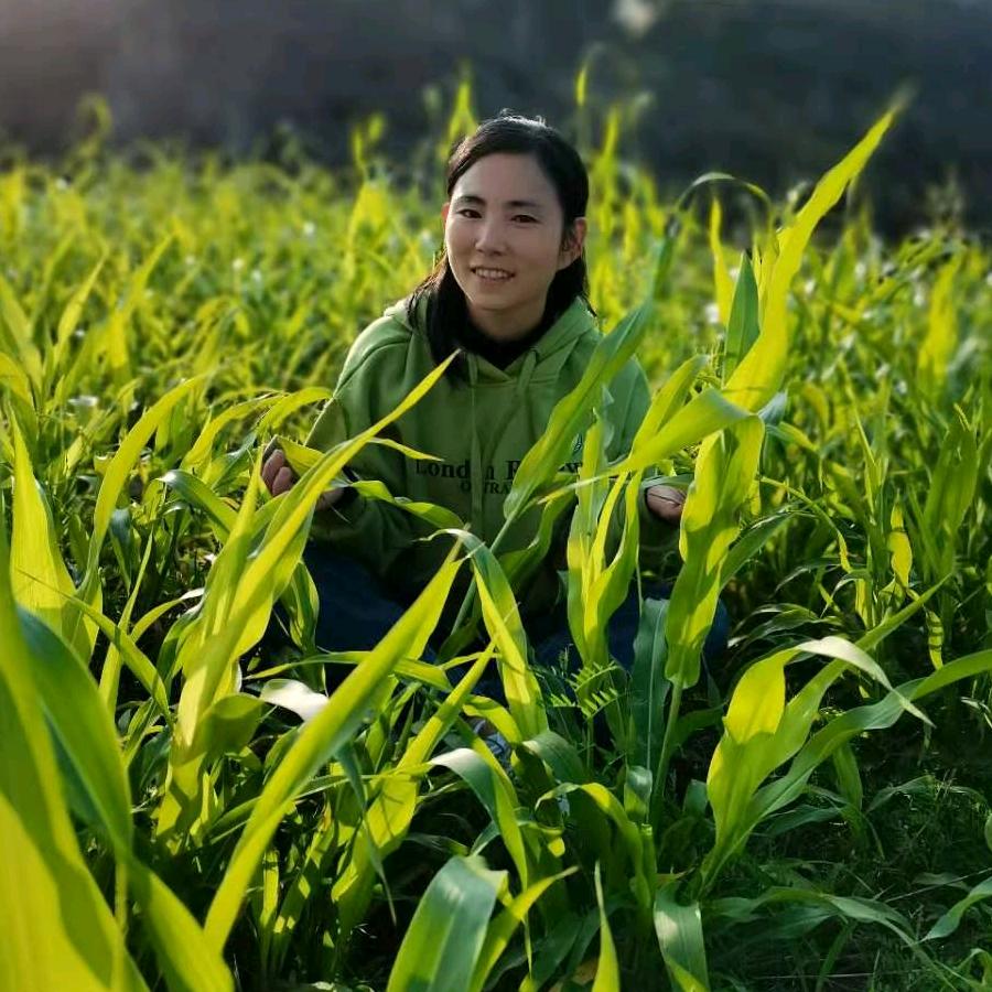 荷乡妹