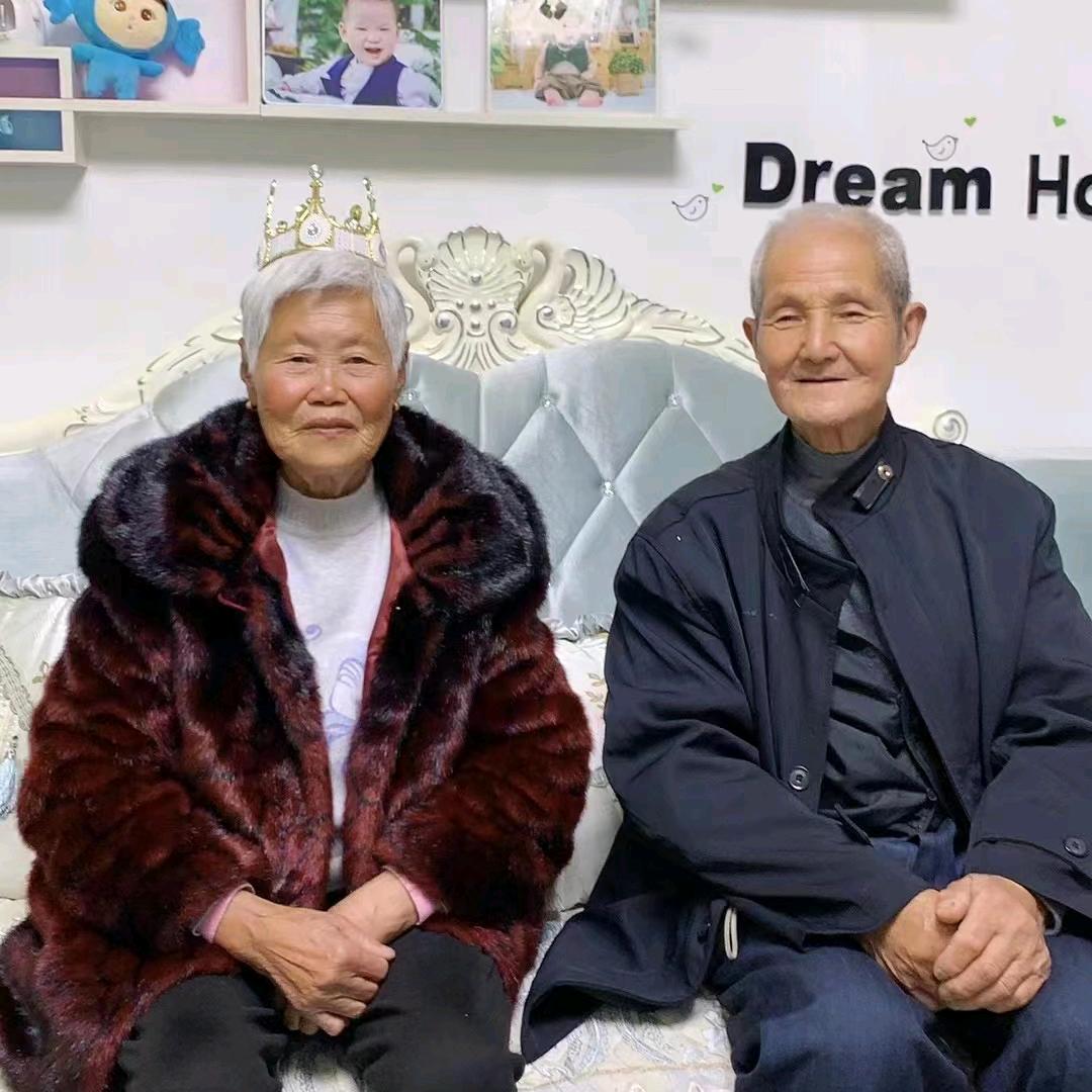 常青树