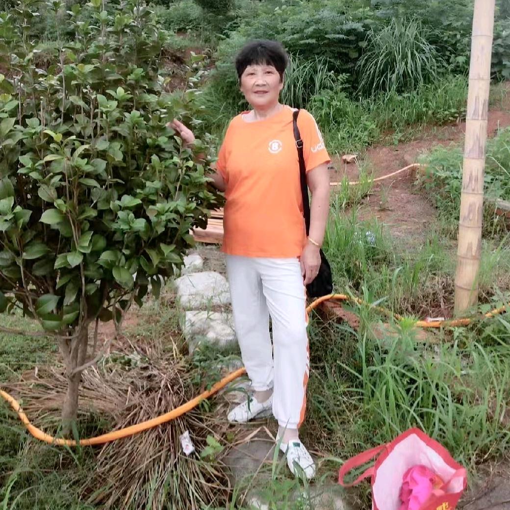 刘仕兰