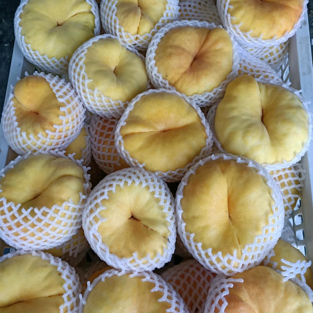 小谭瓜果代收