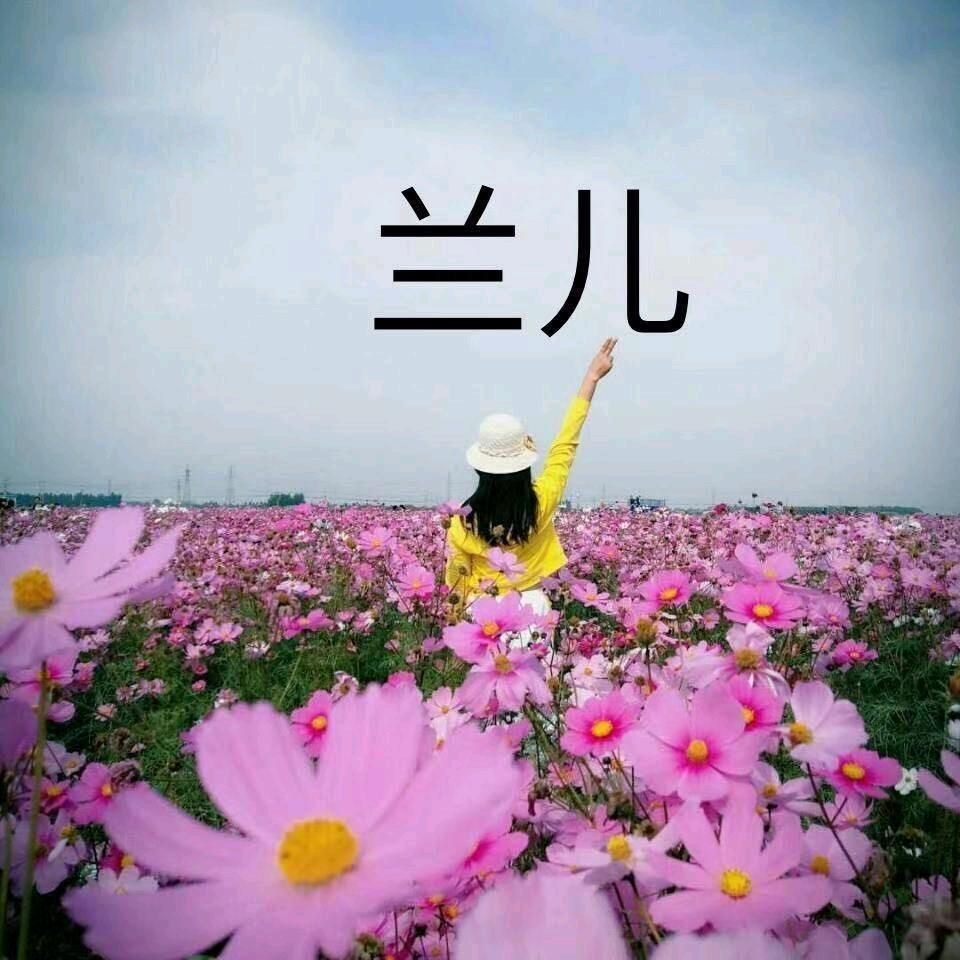 兰儿的花园